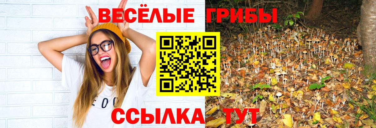 Псилоцибиновые грибы GOLDEN TEACHER Ангарск