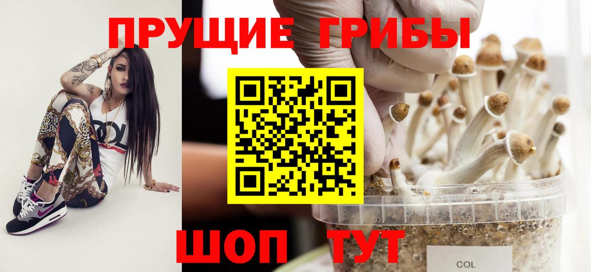 Псилоцибиновые грибы Magic Shrooms  Вход с VPN  Ангарск 
